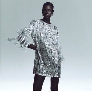 Zara Metallic Silver Fringe Sequin mini Shift Dress Size S